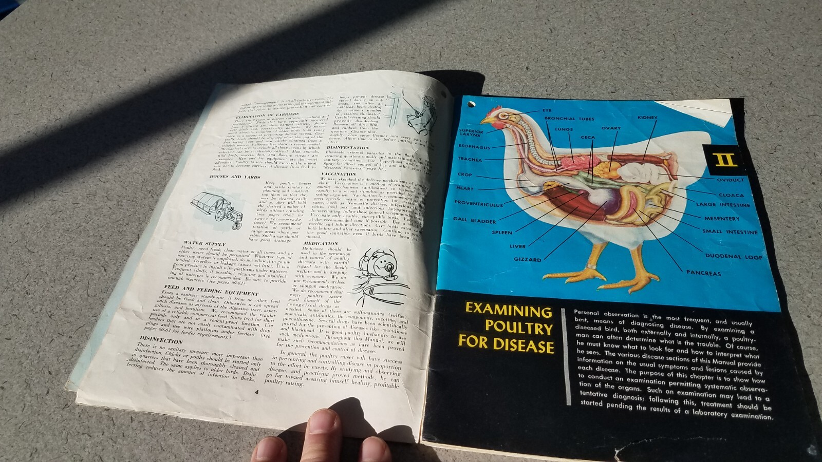 1955 Dr Salsbury&rsquo;s Manual of Poultry Chicken Diseases 64 Pages