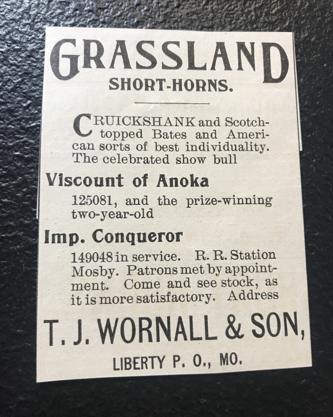 1902 Wornall & Son Farm – Cattle Advertising – Liberty – Missouri – Cow