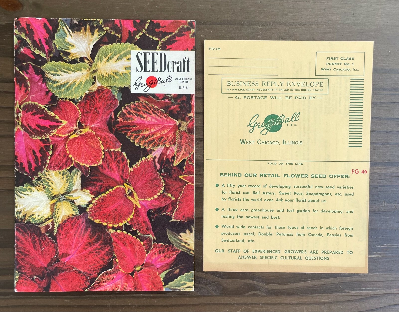 Seedcraft Vintage Garden Flower Catalog Rainbow Coleus Geo J Ball 1950s Booklet
