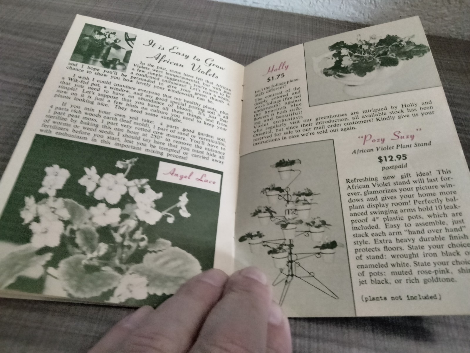 Vtg. 1939 Empire State Nursery Co. Fruits & Flowers Booklet + 2 African Violets