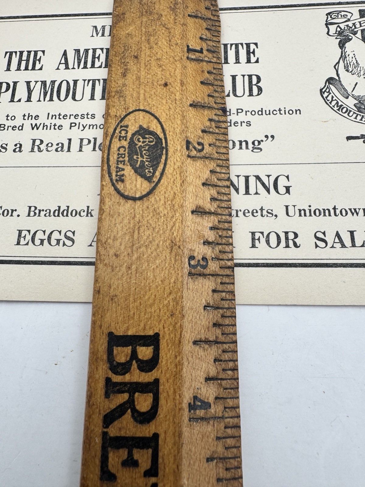 Vintage American White Plymouth Rock Club Ad