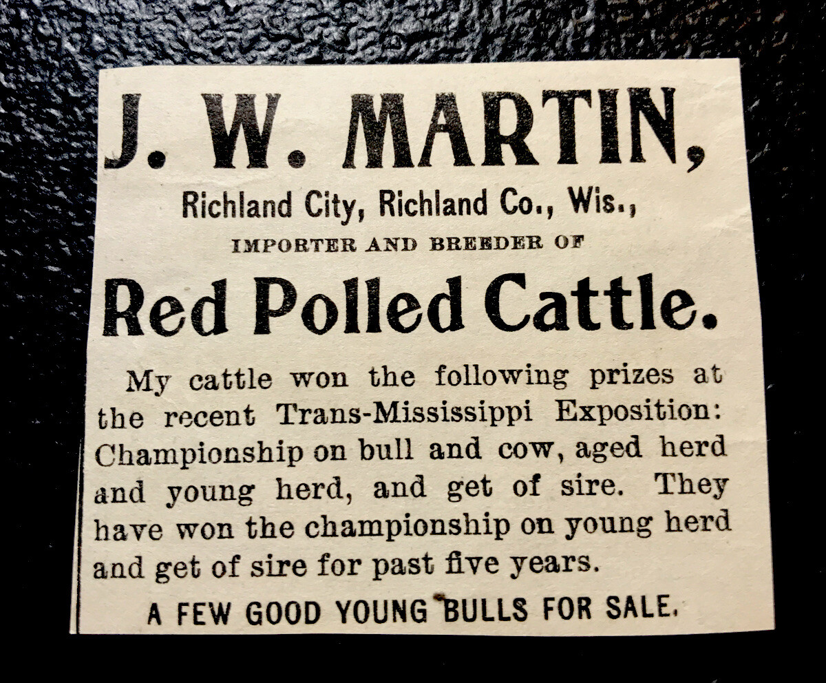 1900 Martin Farm Cattle Advertising – Richland City – Wisconsin – Cow
