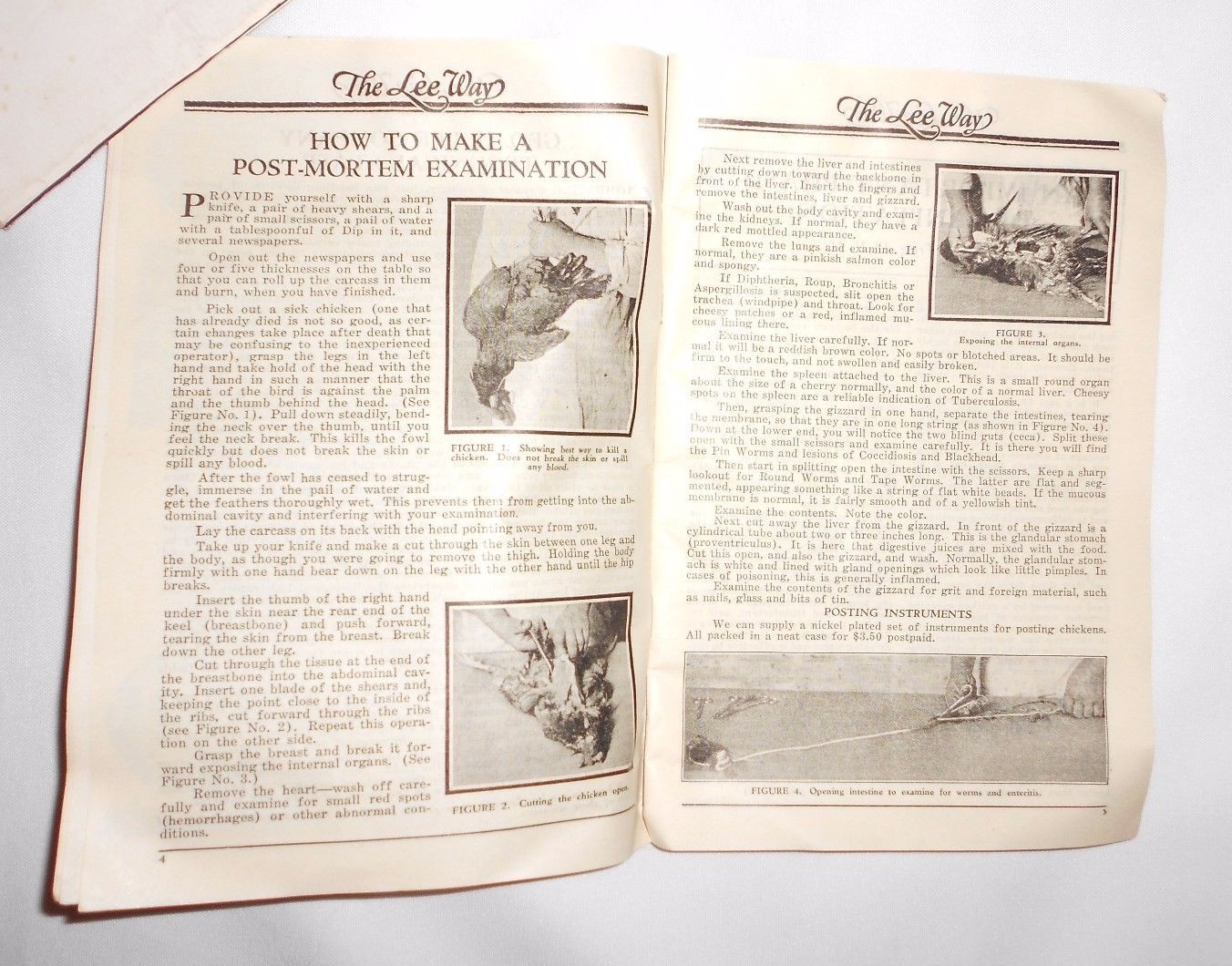 Vtg 1934 Lee Way Poultry Catalog Farm Diseases Advertising Chickens Fowl Cattle
