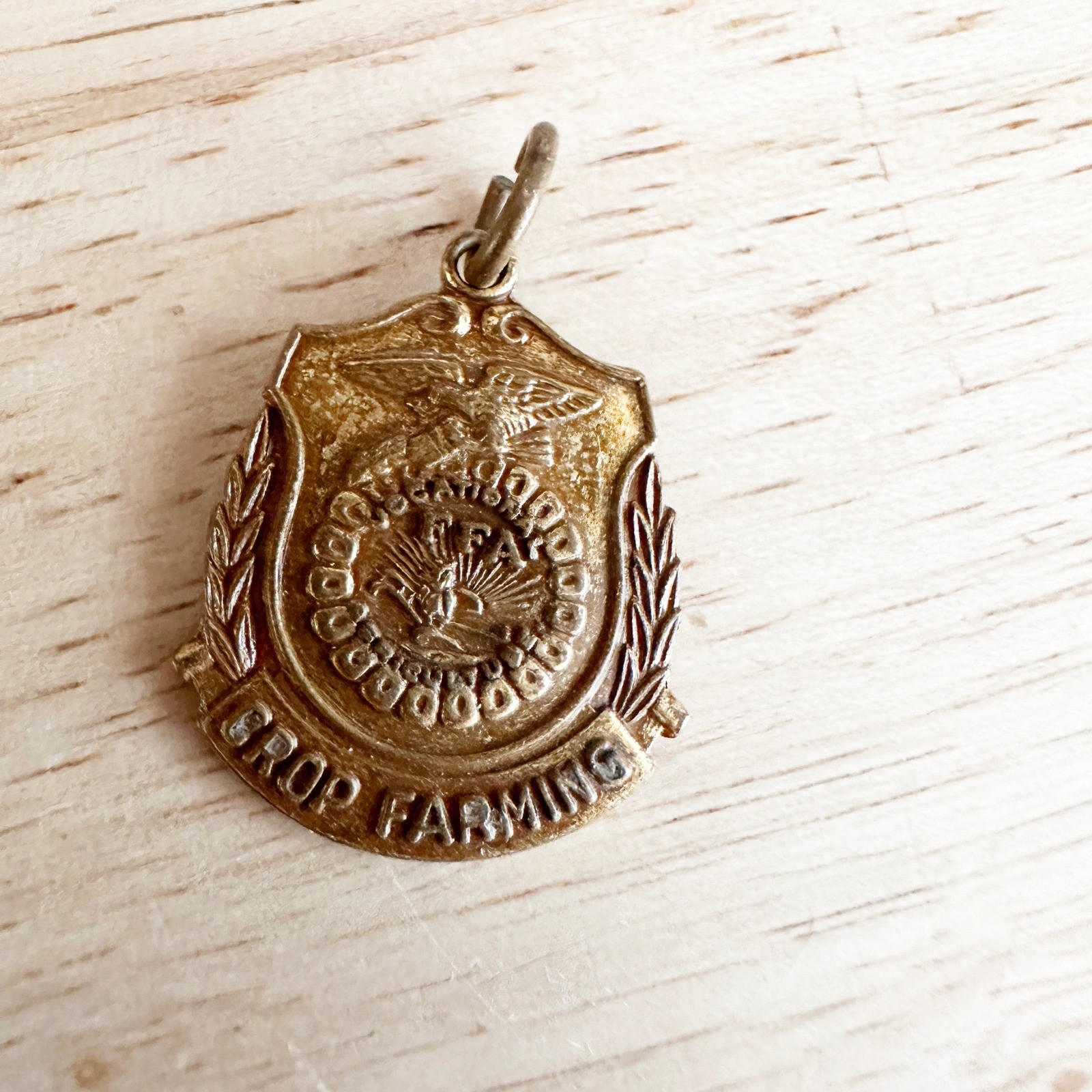 Vintage FFA Pin Lot Soil Conservation Crop Farming Agriculture 1965 CHS Pendant