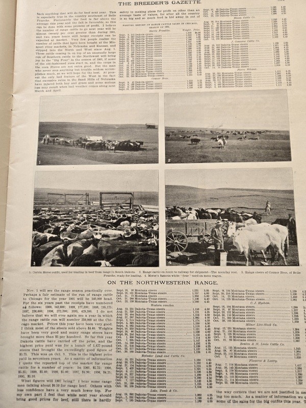 Nov 13, 1901 Breeder&rsquo;s Gazette Weekly Union Stock Yards Intl Exposition Chicago