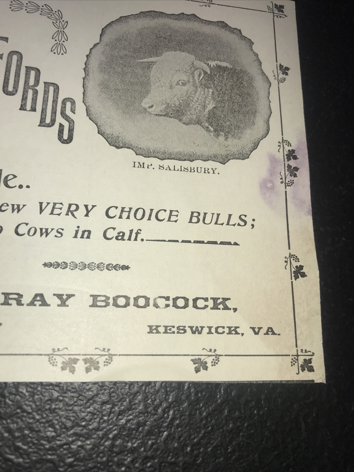1900 Murray Boocock Hereford Cow Farm Advertising – Keswick – Virginia