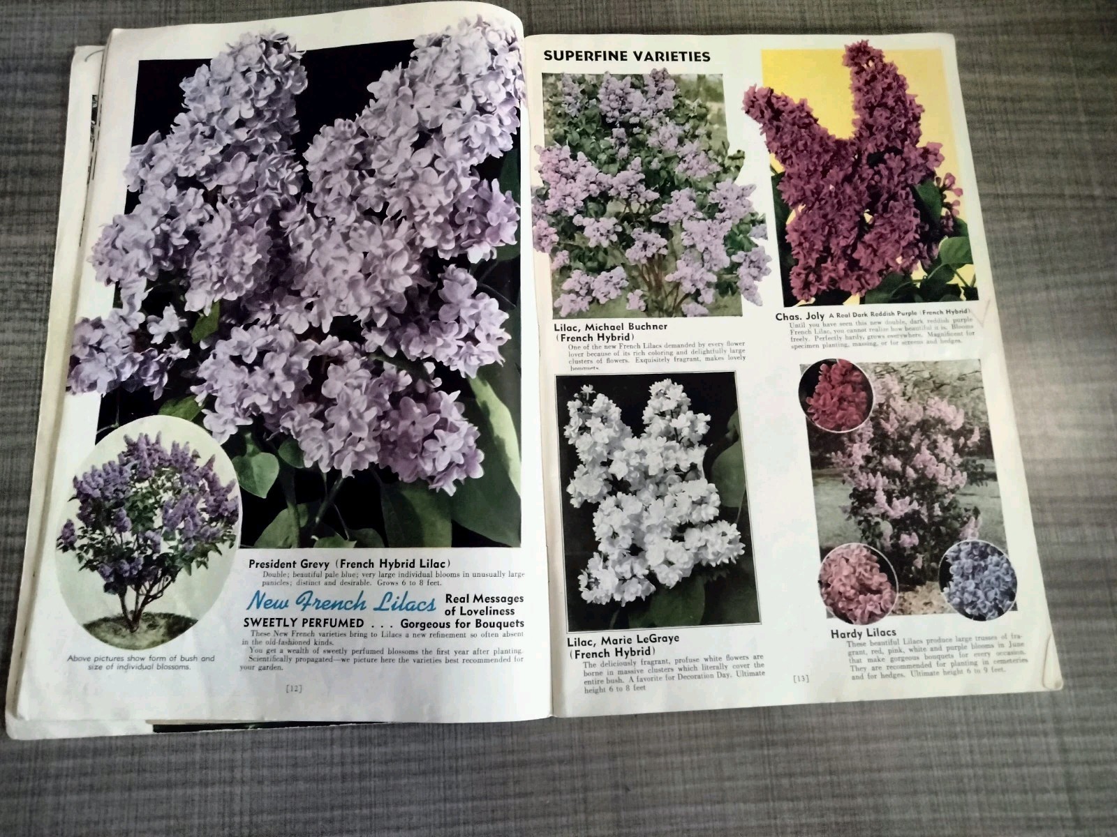 Vtg. 1939 Empire State Nursery Co. Fruits & Flowers Booklet + 2 African Violets