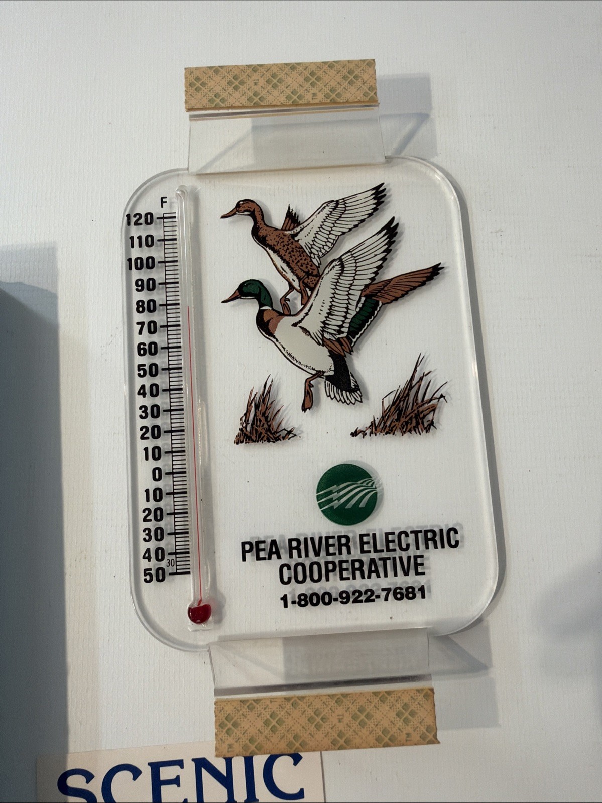 Vintage NOS Morco Scenic Clear Window Thermometer Pea River Electric Co-op Ducks