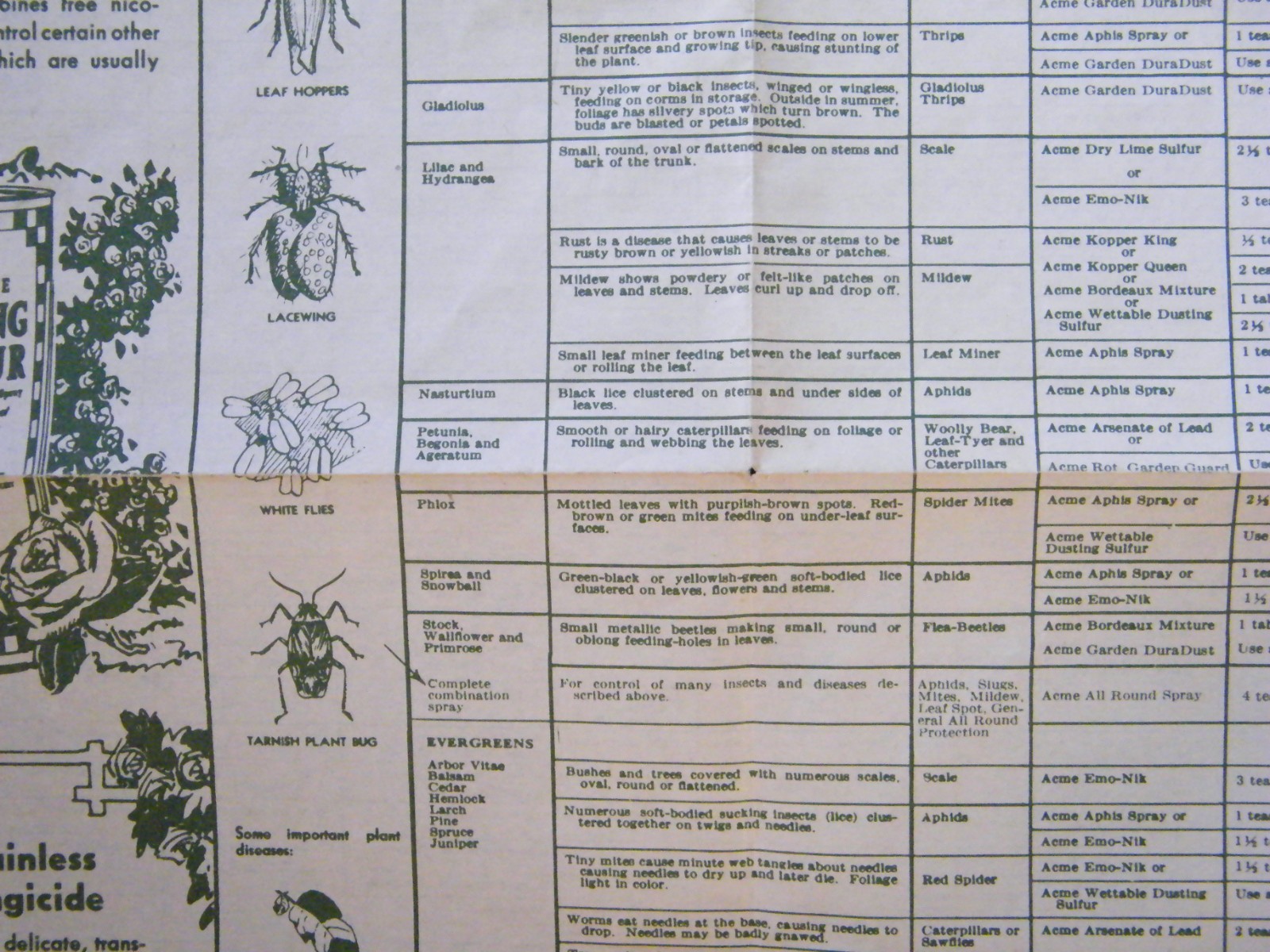 Vintage 1960&rsquo;s-70&rsquo;s Acme Spraying Dusting Guide For Gardens & Lawns Brochure