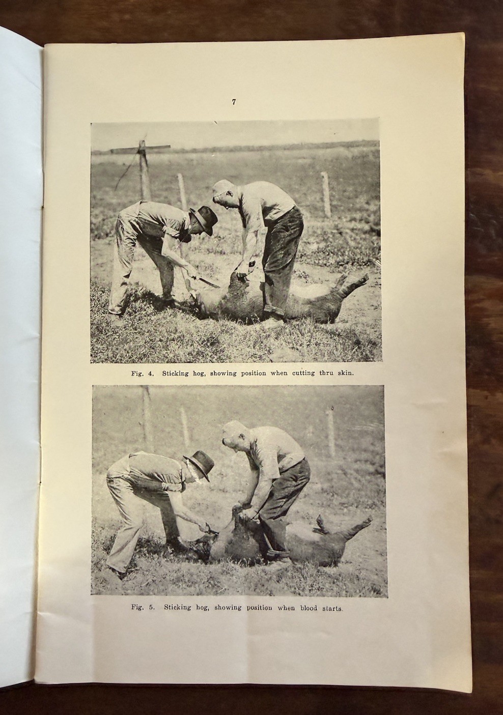1929 Curing Pork On The Farm Ames Iowa State College Of Agriculture