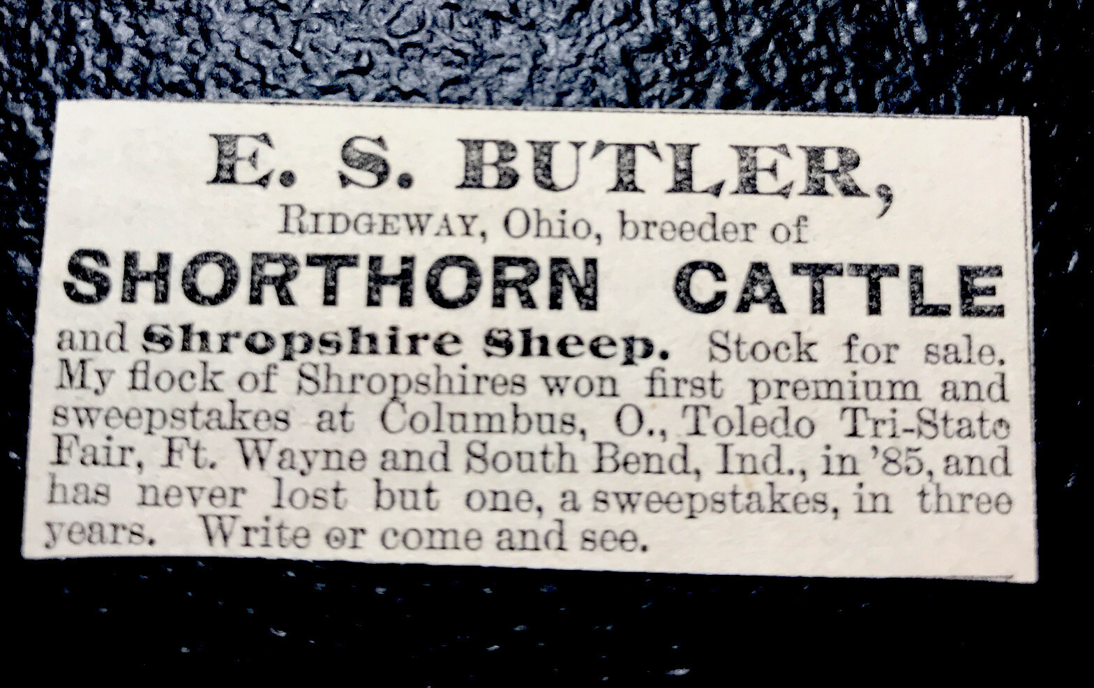 1886 Butler Cattle Cow Farm Advertising – Ridgeway – Ohio
