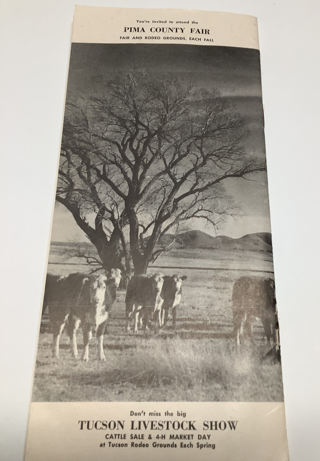Vintage 1950’s Pima County Arizona Farming & Livestock Informational Bulletin