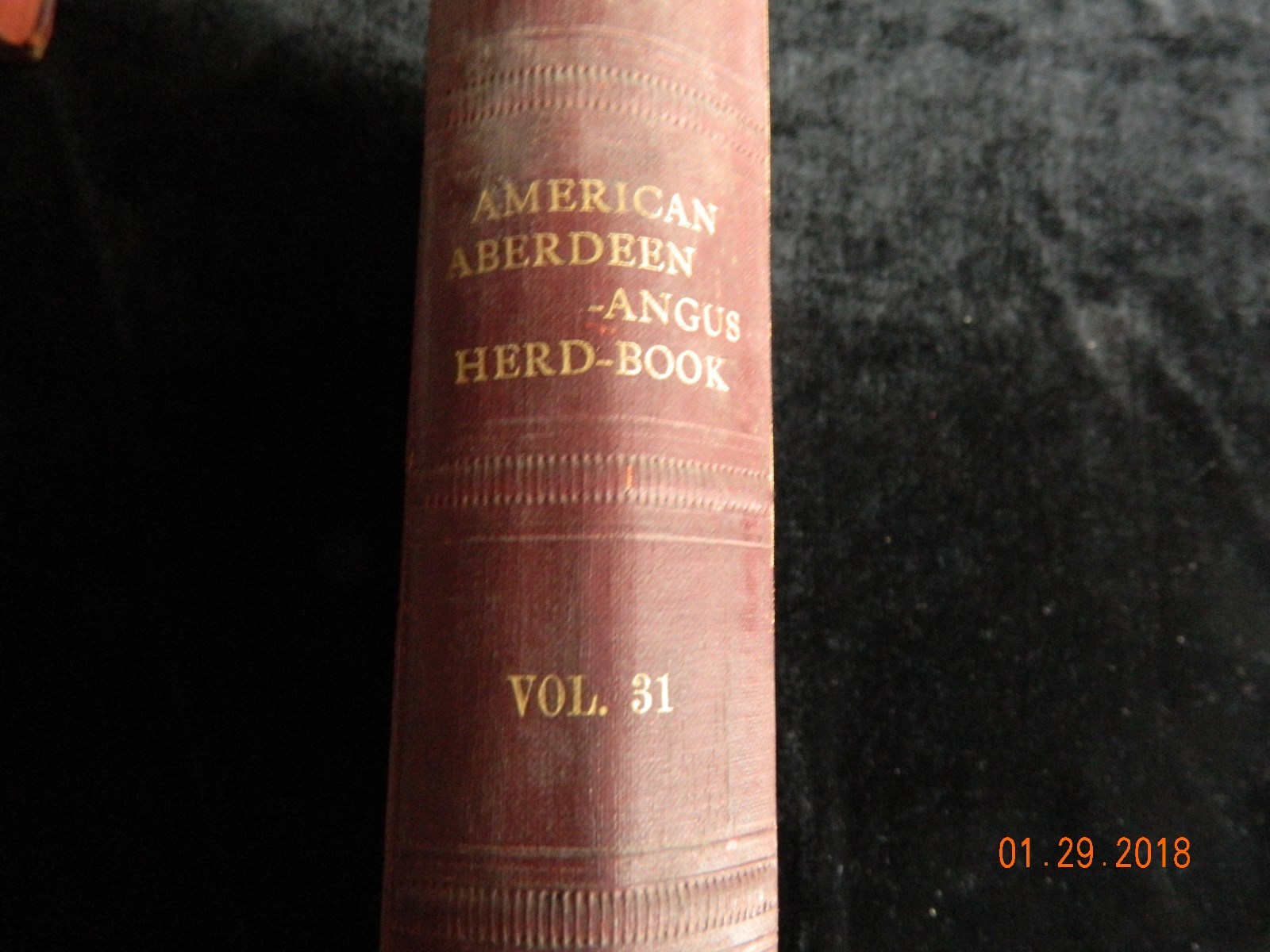 American Aberdeen-Angus Herd Book Vol 31 Original Hardcover RARE VINTAGE 1919