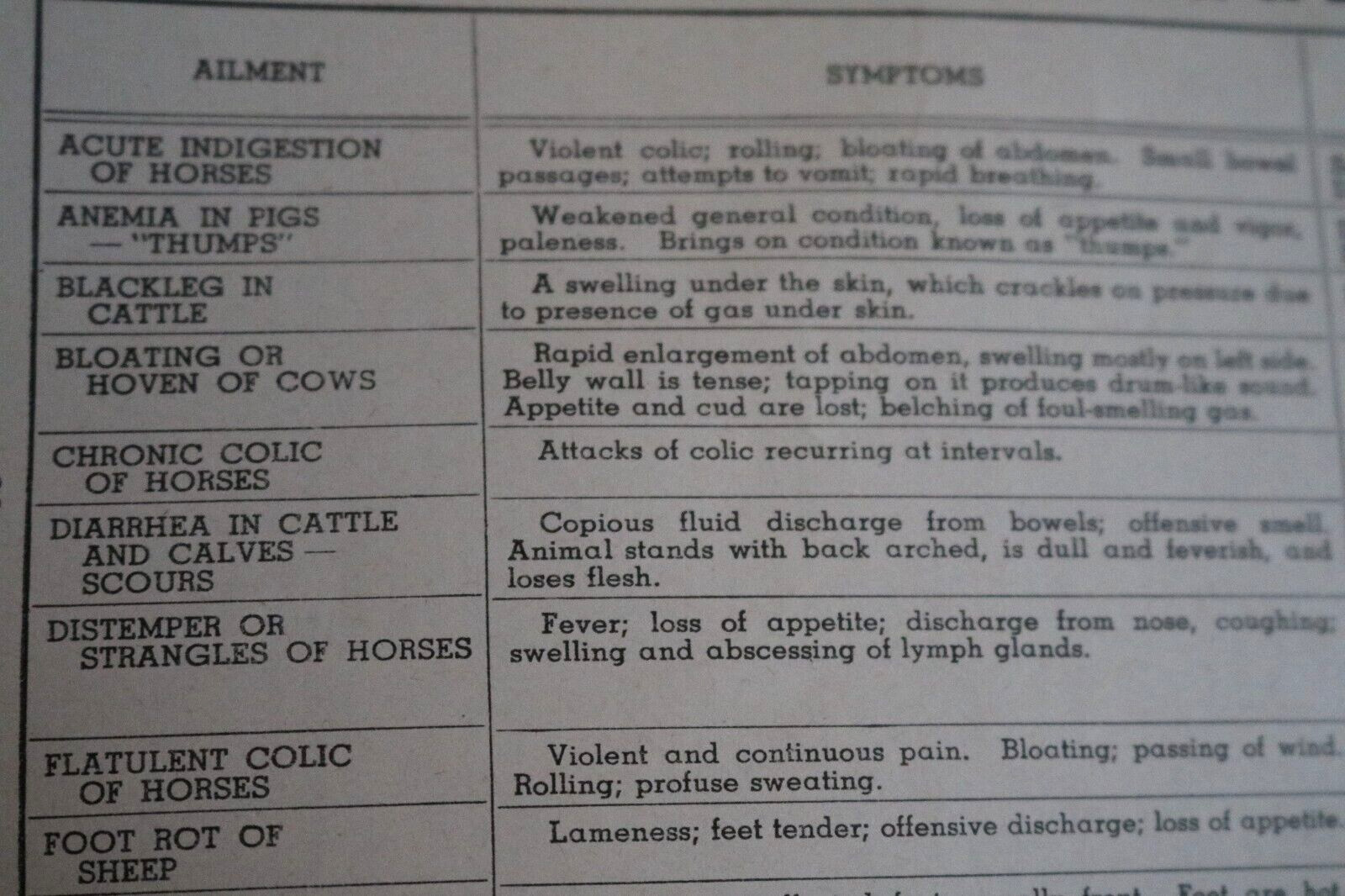 Vintage Dr. LeGear&rsquo;s Live Stock Manual Practical Guide Cows Horses Sheep Hogs