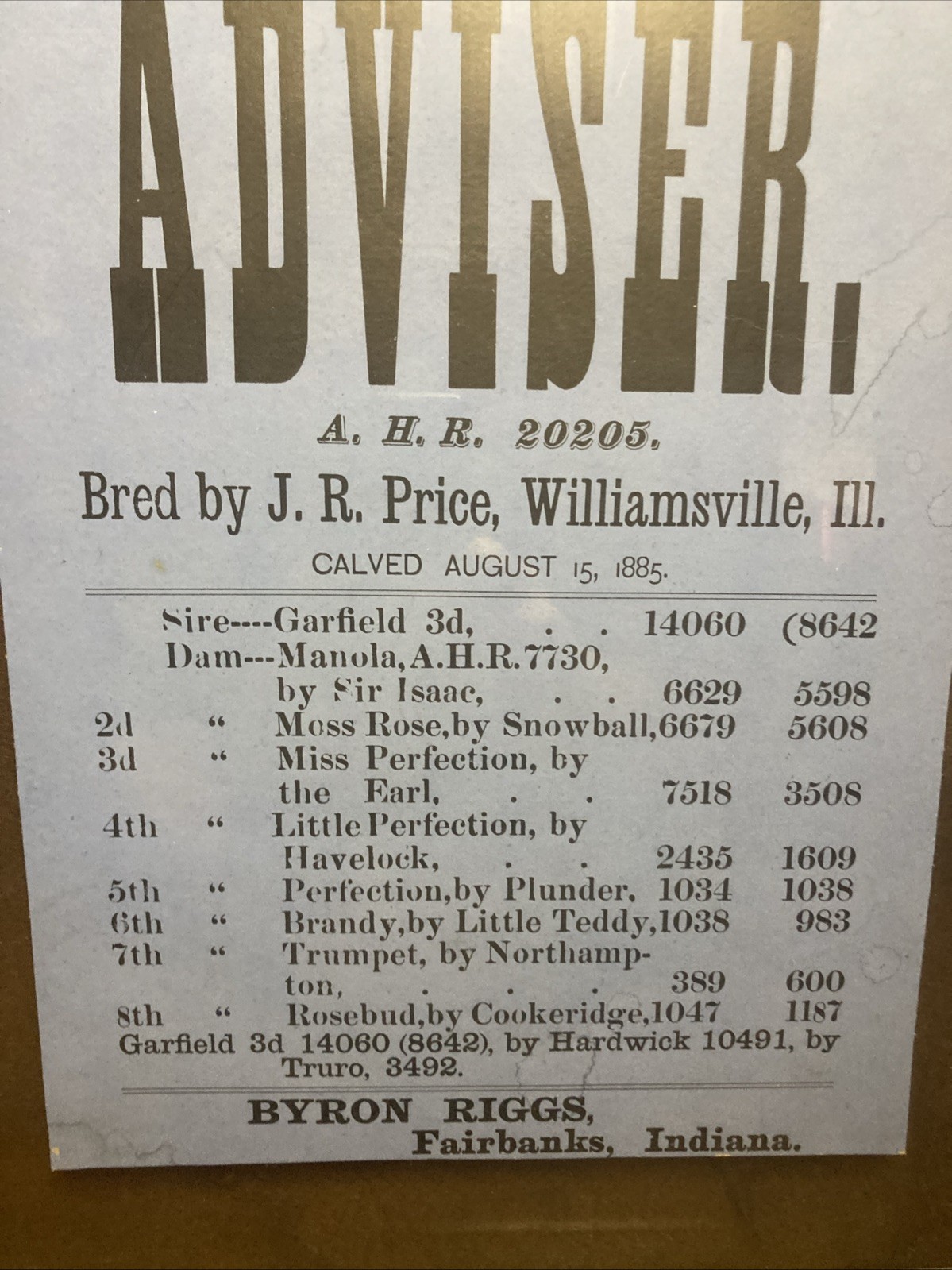 Framed 1885 Sale Bill Cattle Sale