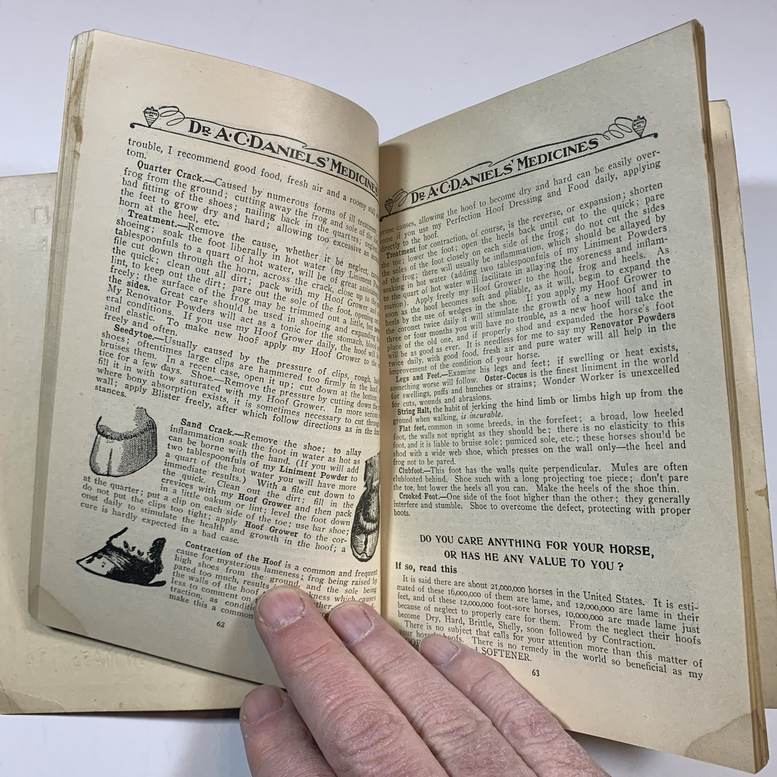 HOME TREATMENT FOR HORSES AND CATTLE by A.C. Daniels – Original 1907 Paperback