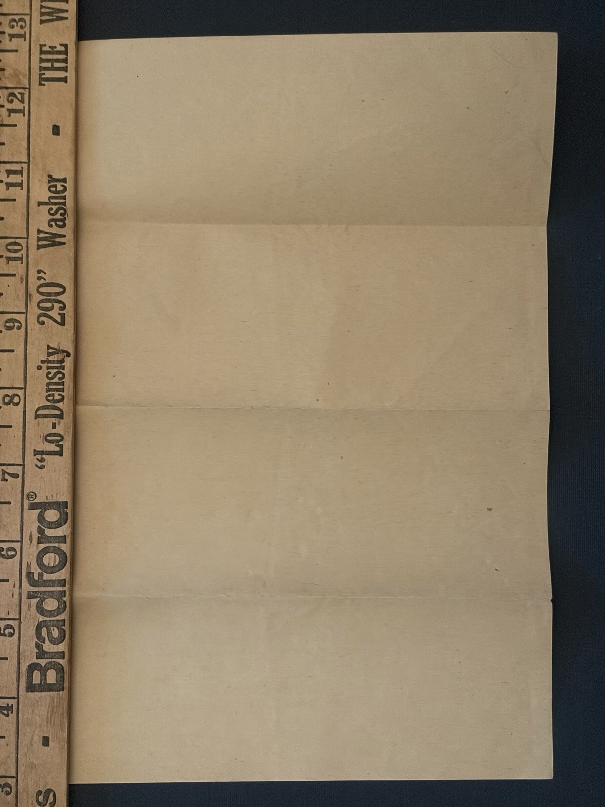 1890s Rose of Jericho Cinnamon Cassia Broadside Chicago Botanical Hoax PERSION