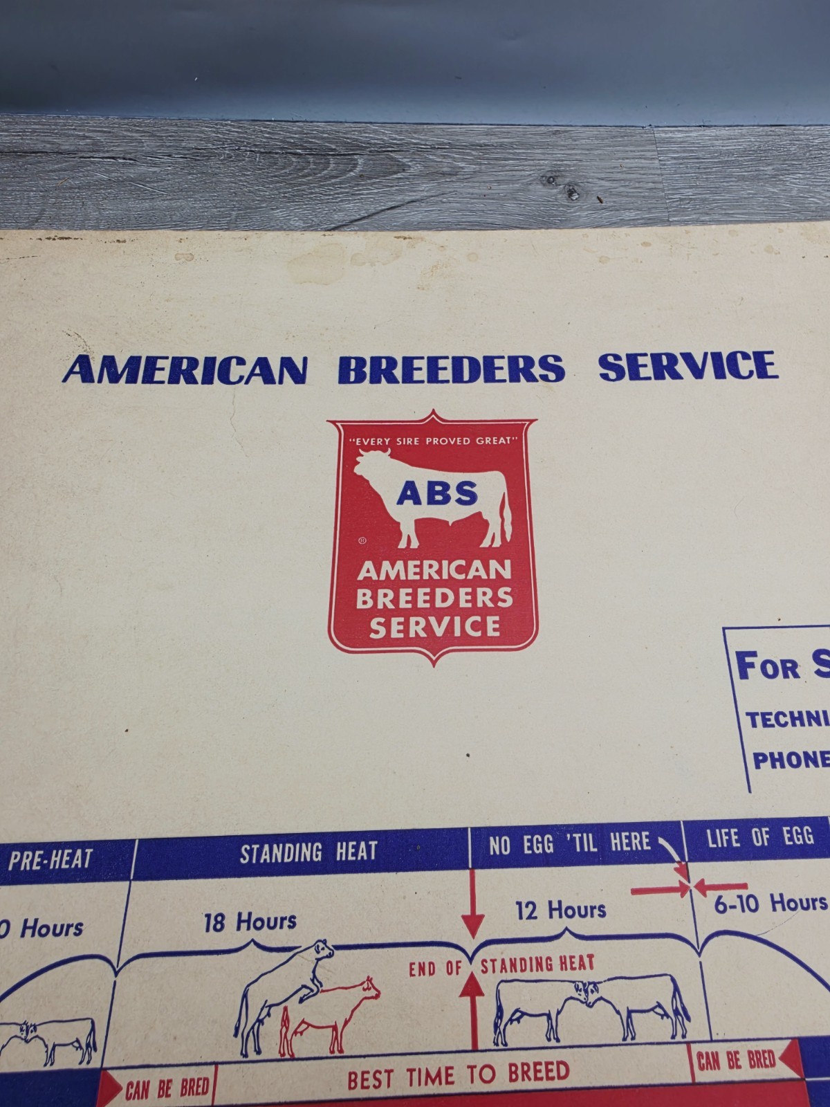 Rare 1957 American Breeders Service Folder Cow Breeding Schedule Advert Filled