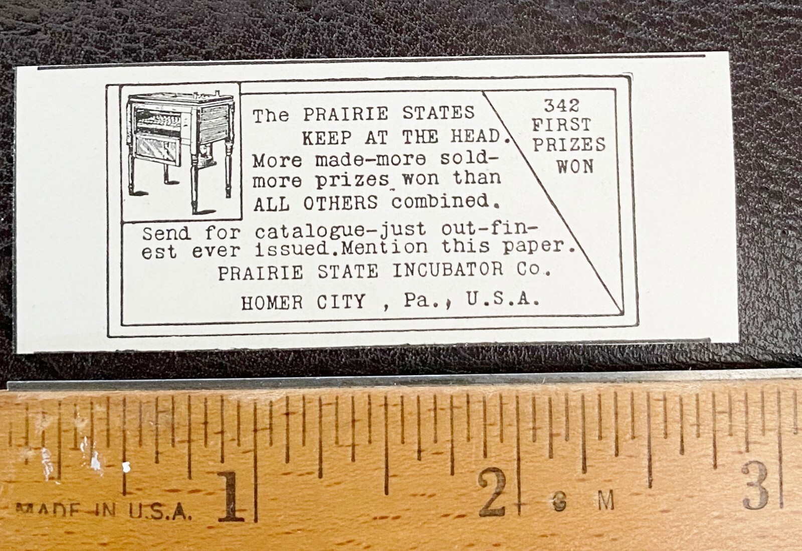 c1890s PRAIRIE STATE INCUBATOR CO. Homer City, Pa. Print Ad~Chicken Raising Farm