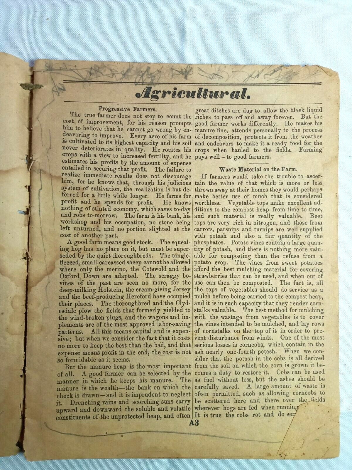 Vintage 1884 John Bear Baer&rsquo;s Agricultural Almanac Lancaster, PA Antique Farmers