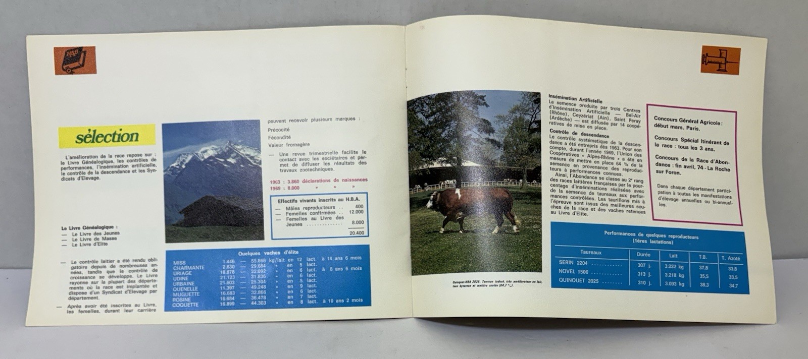 Vintage 1960s Abondance Cattle Booklet Brochure – French Dairy Breed