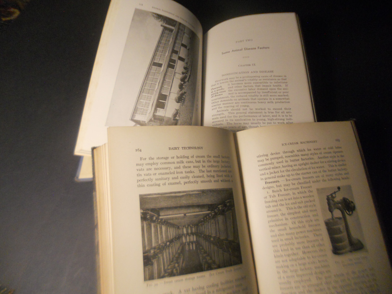 1914 DAIRY TECHNOLOGY Cattle C. Larsen Wm White 1st Ed Animal Sanitation Disease