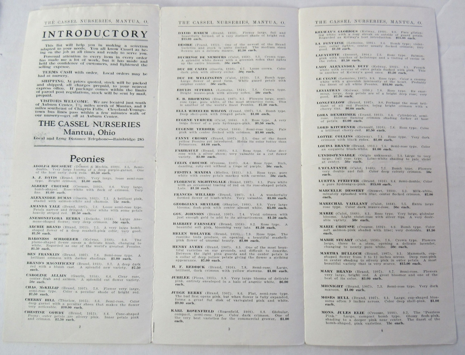c1920 Planter&rsquo;s List Peonies Iris FLowers Cassel Nurseries Mantua Ohio Ad Order