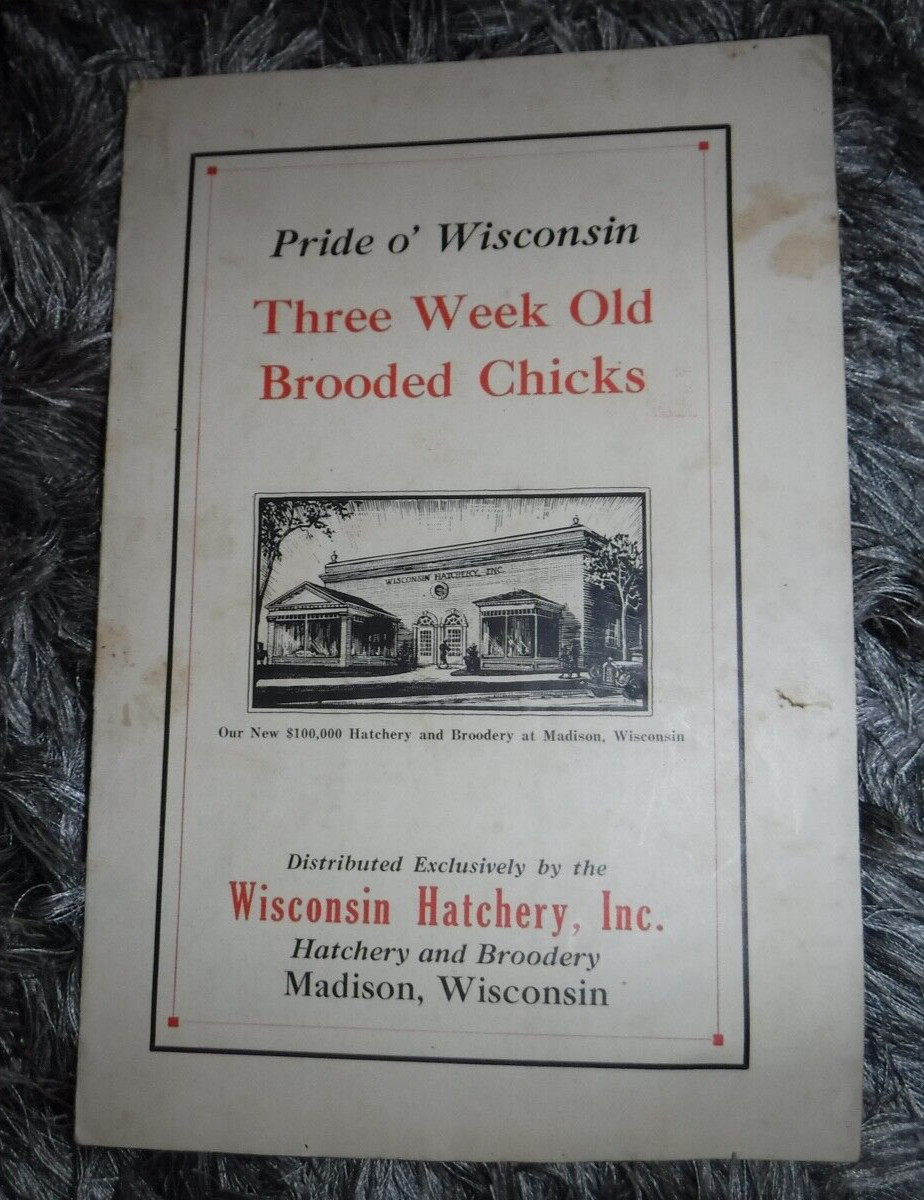 CHICKS CHICKEN WISCONSIN HATCHERY INC. MADISON WISCONSIN VINTAGE 1927 BOOKLET