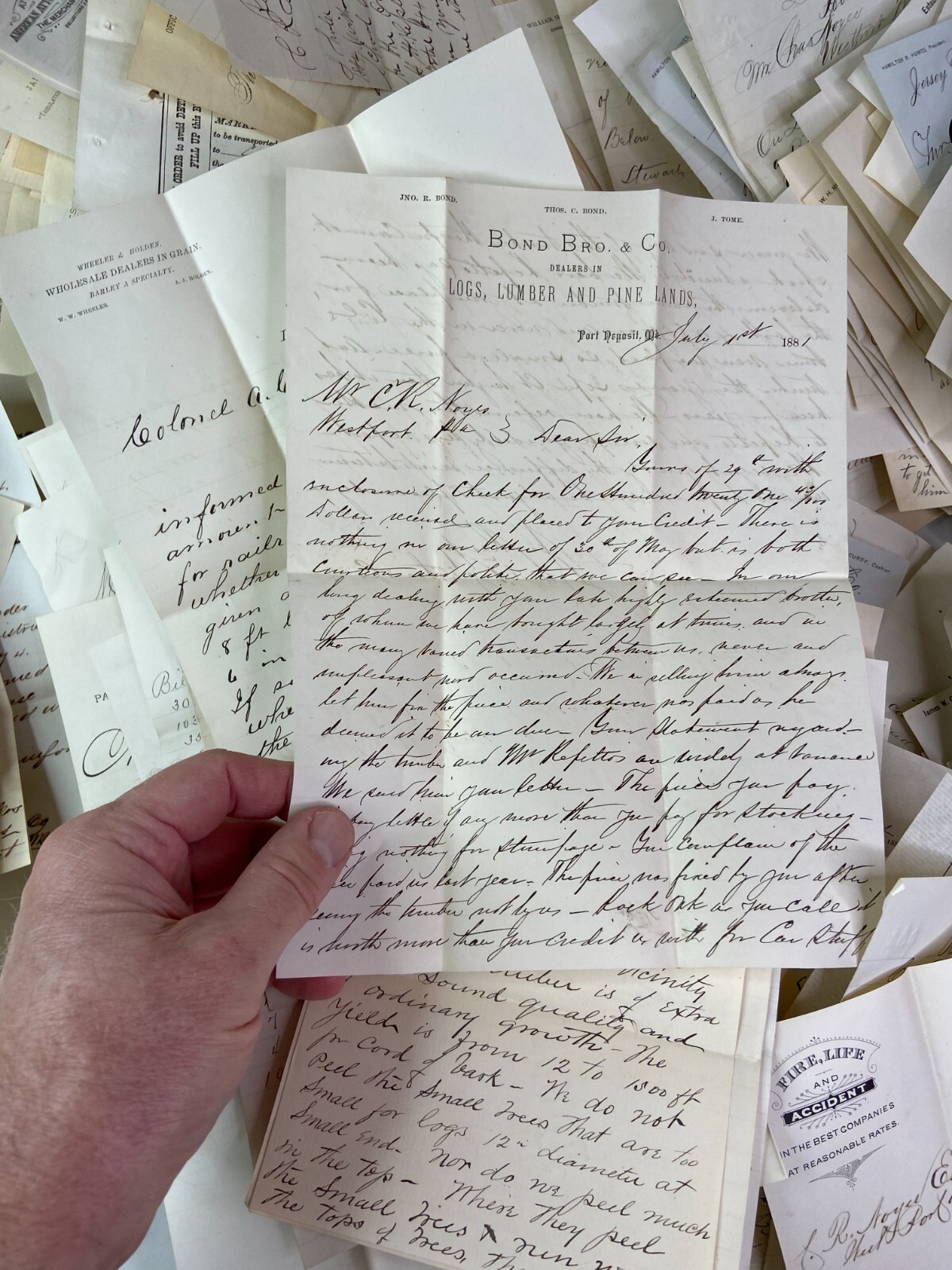 RARE HUGE Letter & Doc Archive 750+ Noyes Lumber 1880s Westport Pennsylvania PA
