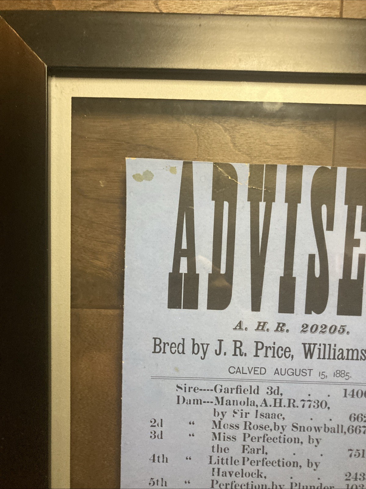 Framed 1885 Sale Bill Cattle Sale