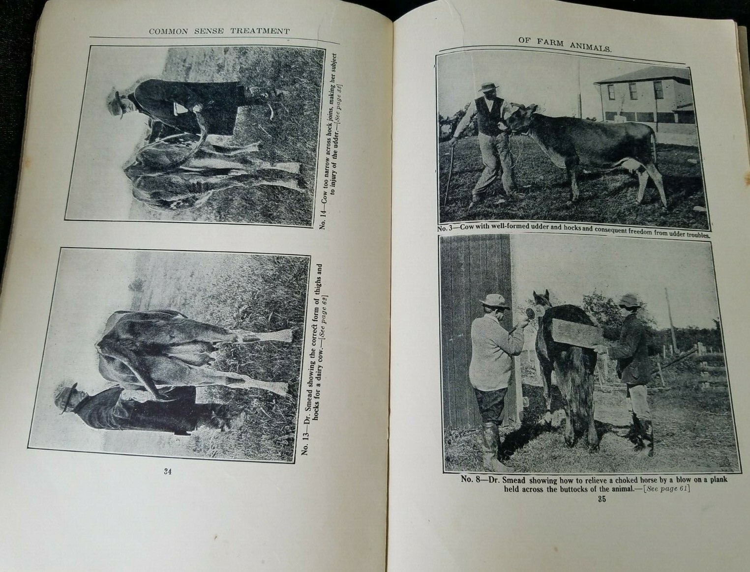 1911 Common Sense Treatment Farm Animals CD Smead National Stockman & Farmer
