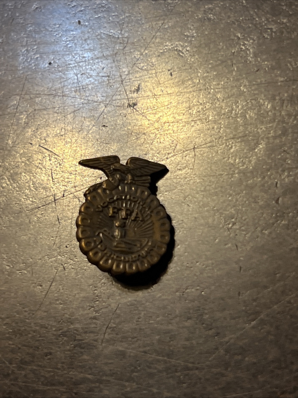 Vintage Retro 1970s-80 Hat Jacket Pin FFA Future Farmers Of America