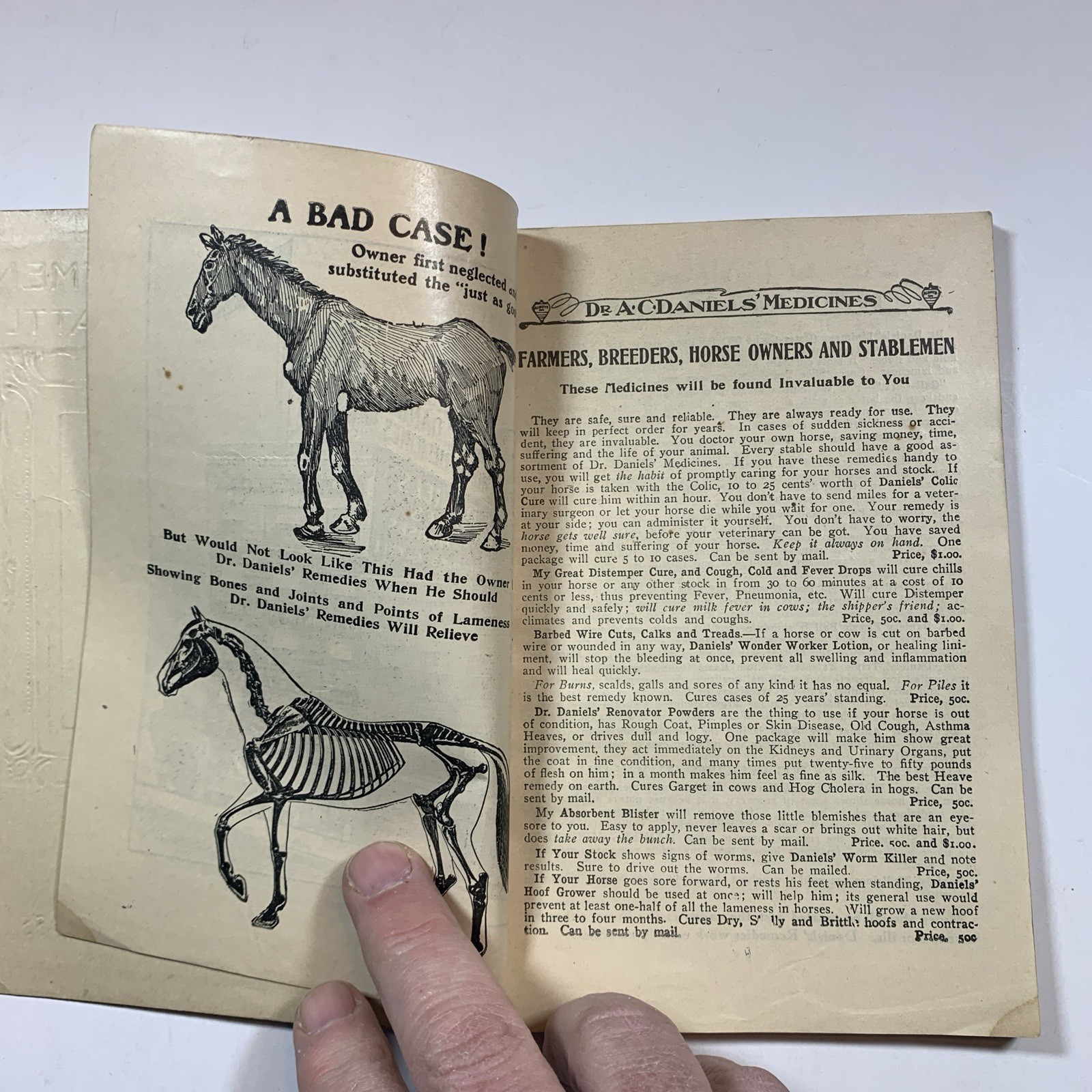 HOME TREATMENT FOR HORSES AND CATTLE by A.C. Daniels – Original 1907 Paperback