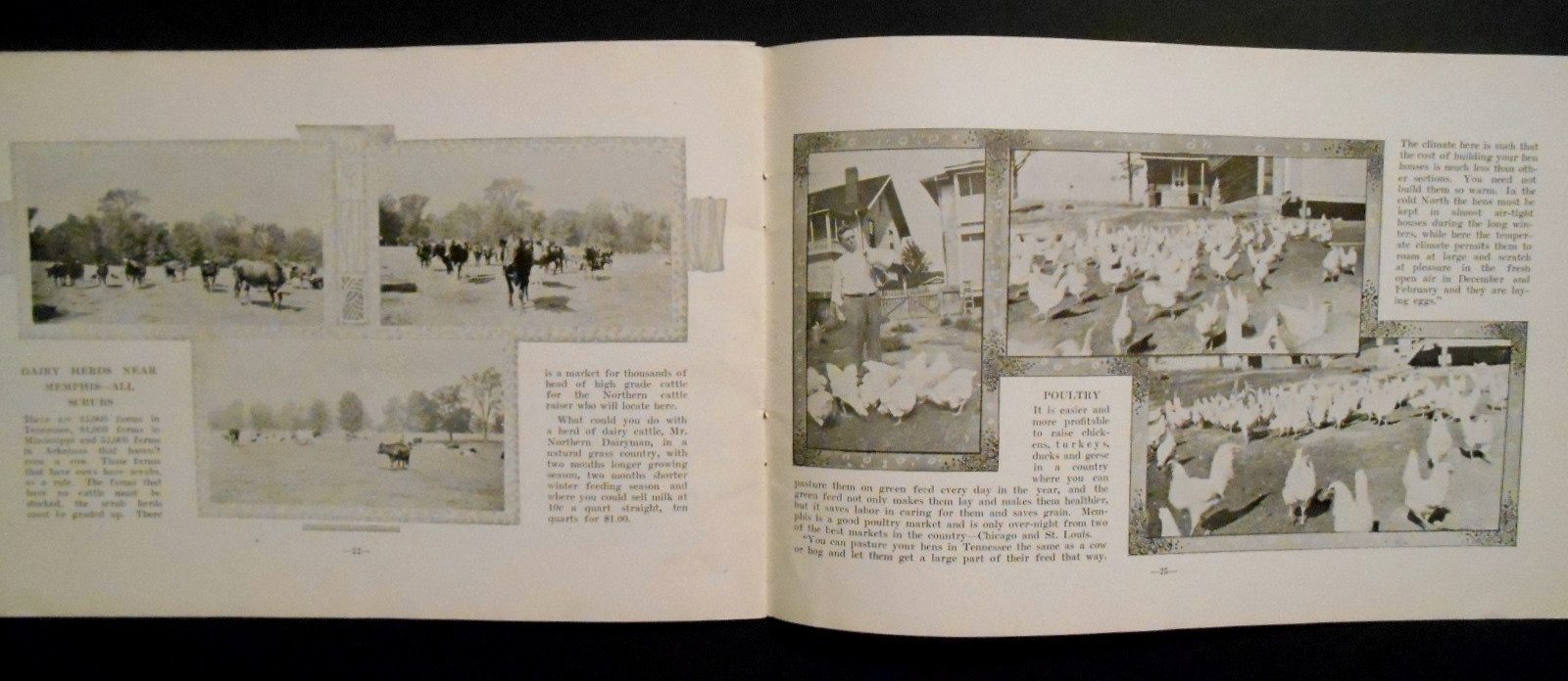 Erly 1900s Farming In The Great Memphis District Tennessee Booklet Martin & Cole
