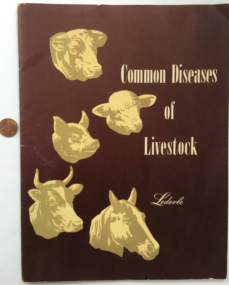 1947 Common Diseases of Livestock Lederle Laboratories Booklet Horses B&W Photos