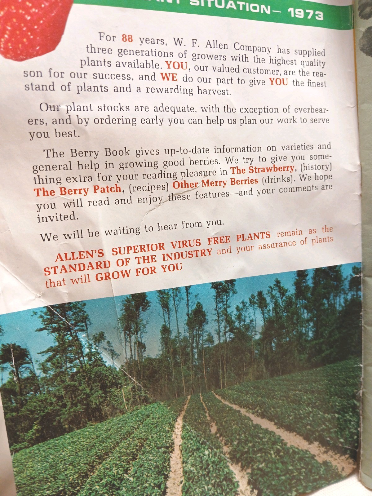 Rare Catalog Ephemera 1973 W.F. Allen Co. Book Of Berries. Anniversary Edition.