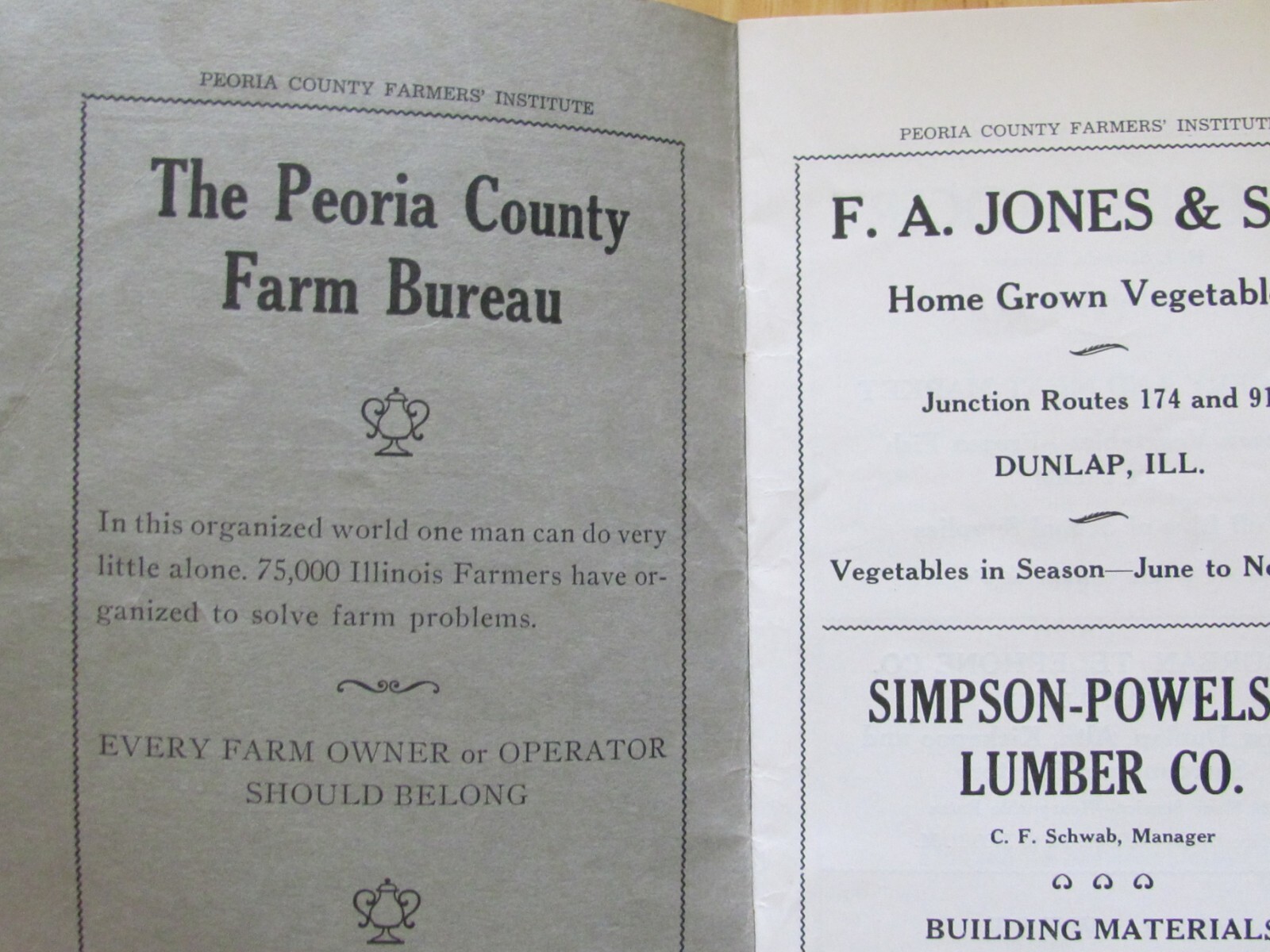 1941 SHOW PROGRAM BOOK PEORIA COUNTY FARM INSTITUTE DUNLAP IL LOCAL ADVERTISING