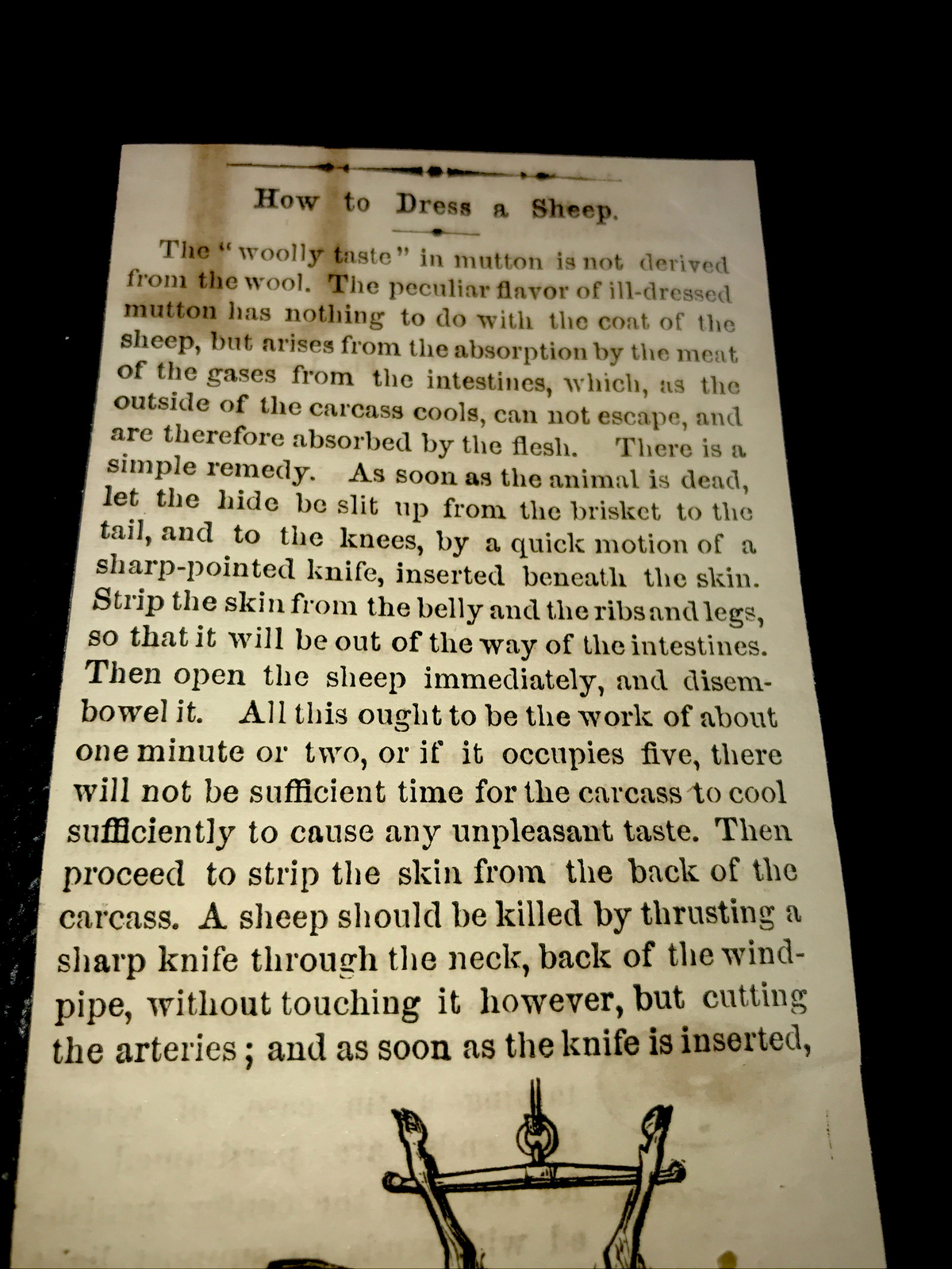 ORIGINAL 1872 Dressing A Sheep Farm Engraving Advertising & Article