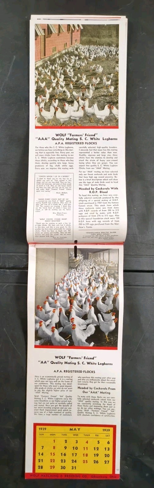 1939 Wolf Baby Chicks Catalog Calendar Sale Brochure Chicken Farming Advertising