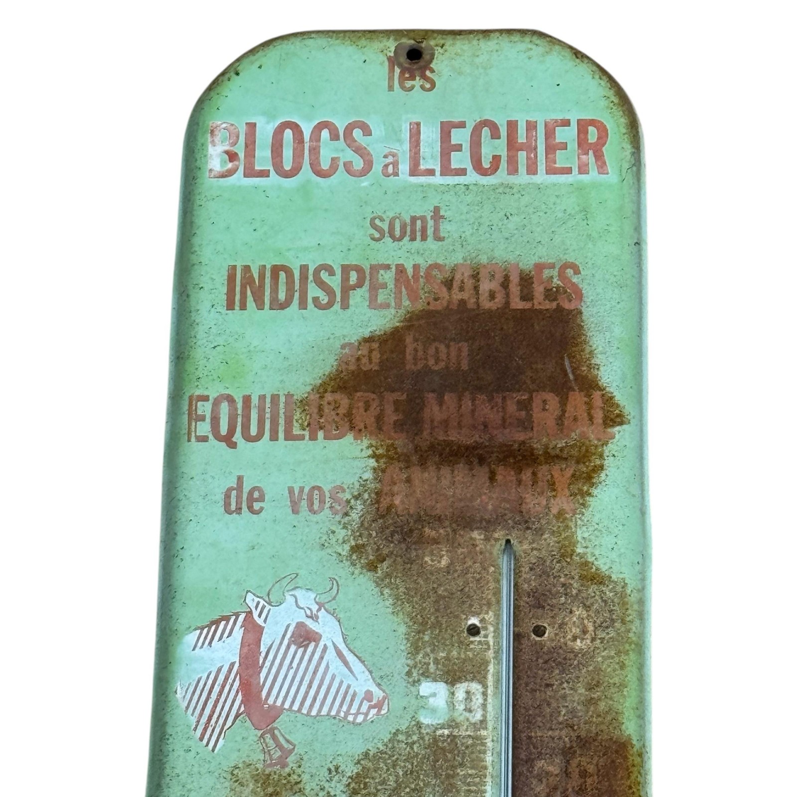 Vintage Salins Du Midi Blocs A Lecher French Thermometer Sign 7.25×27.25 Green