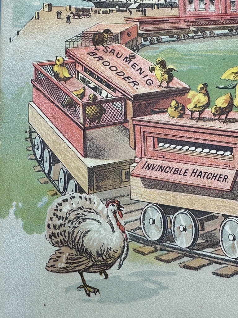 Rare 1893 BUCKEYE INCUBATOR CO Chicken CHICKS Farm Advertise BOOK Springfield OH