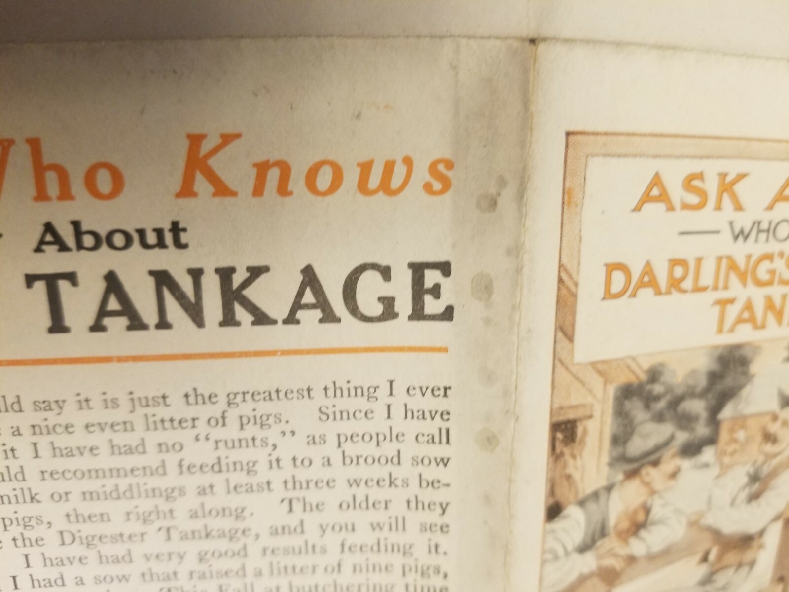 VINTAGE AGRICULTURE BROCHURE. DARLING&rsquo;S DIGESTER TANKAGE.