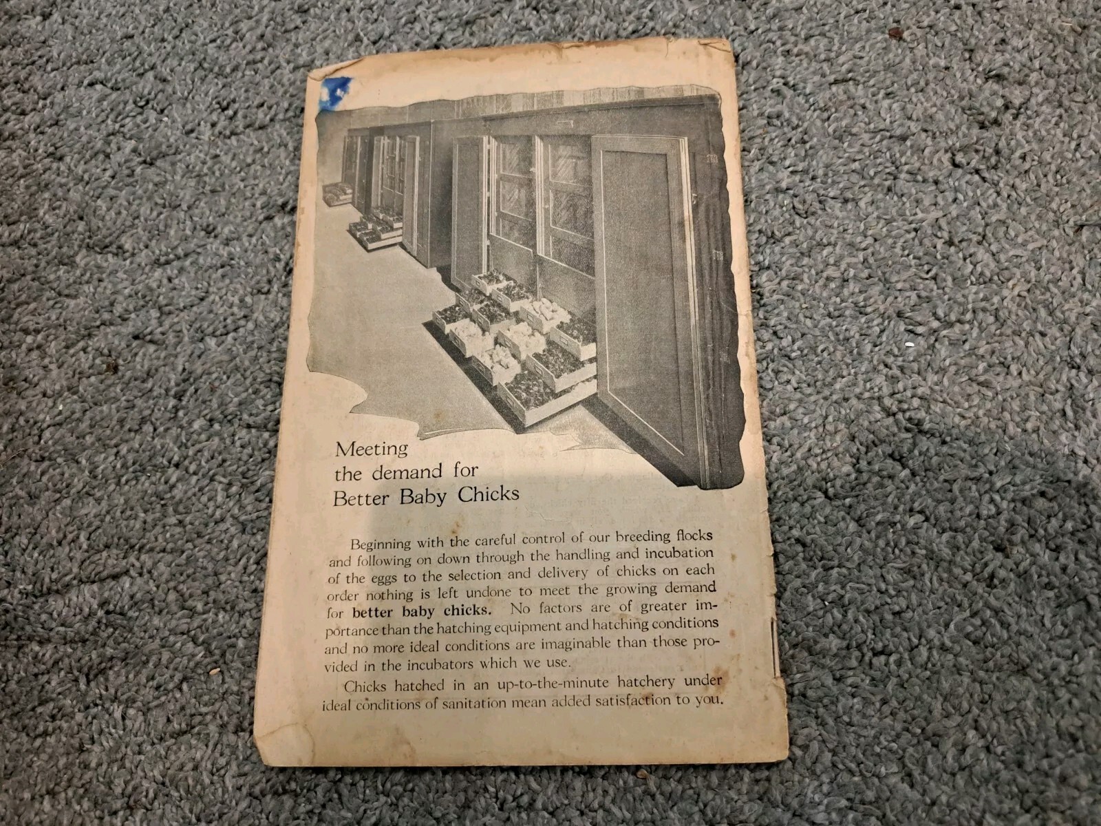 The Profit Maker Vintage 1923 Canadian Chick Hatchery Booklet Poultry