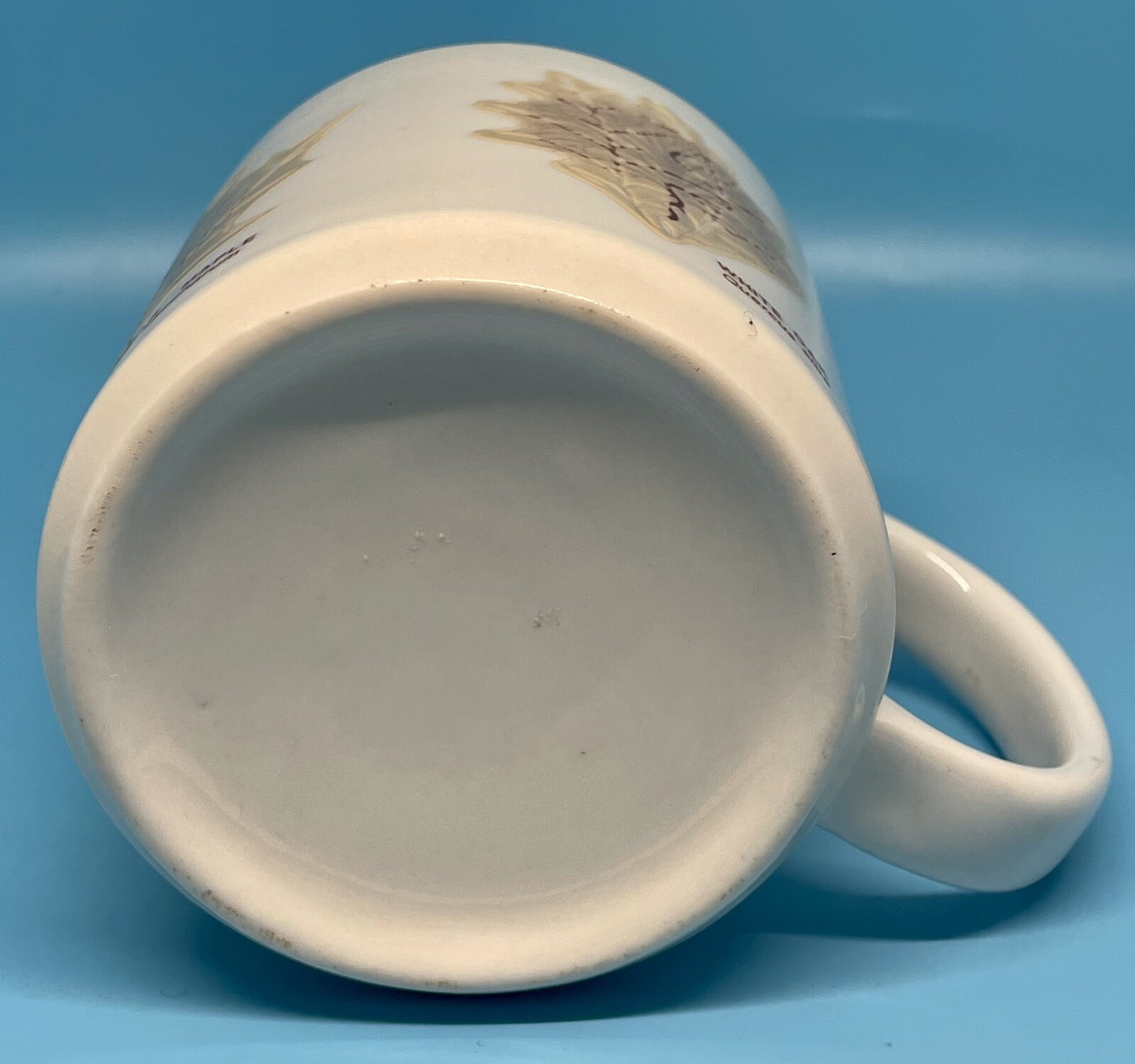 Audubon Naturalist Society Mug Raised Leaves Leaf Identification