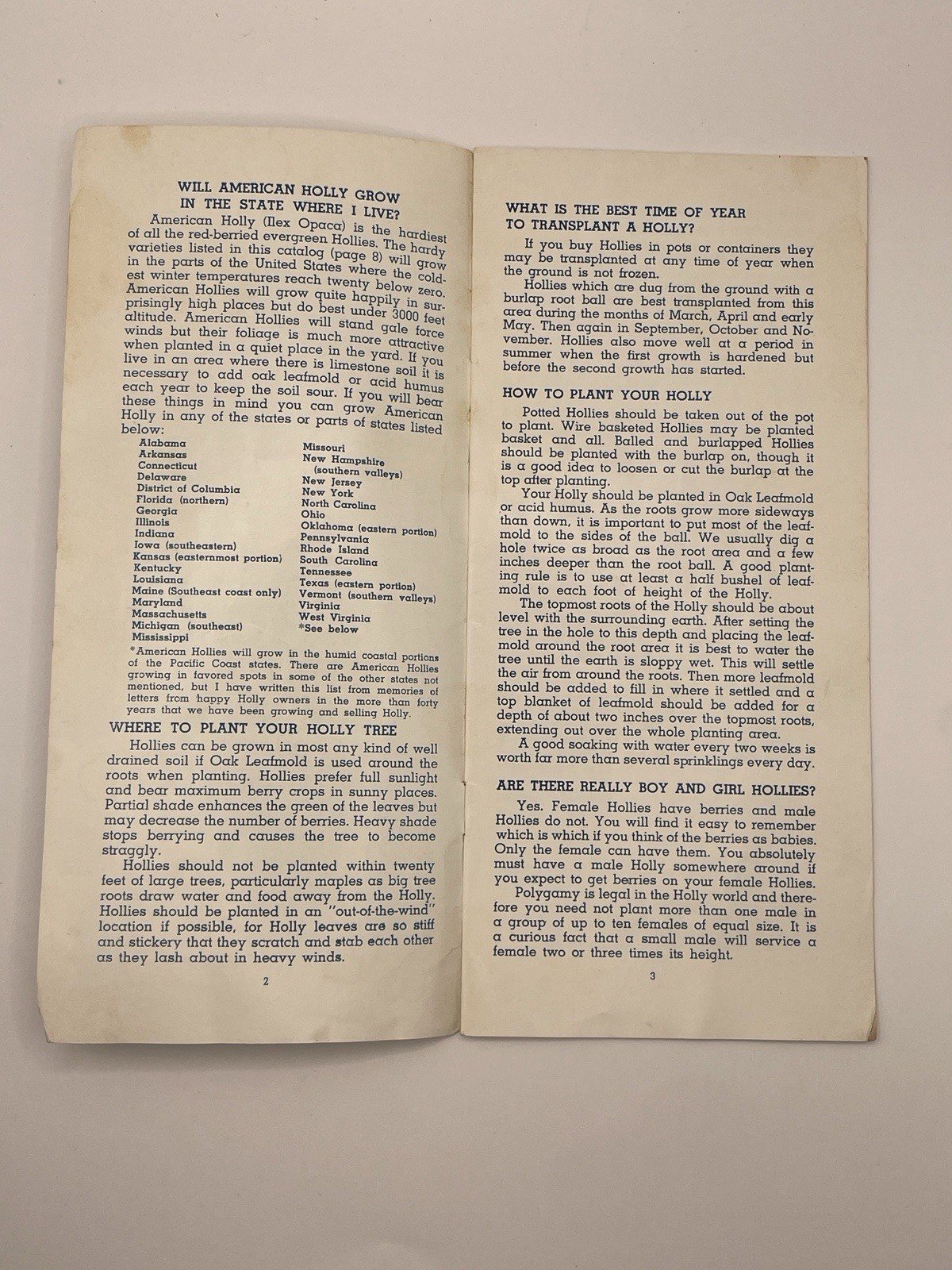Earle Dilatush Holly Farm/Holly Specialist brochure- New jersey – 4×9