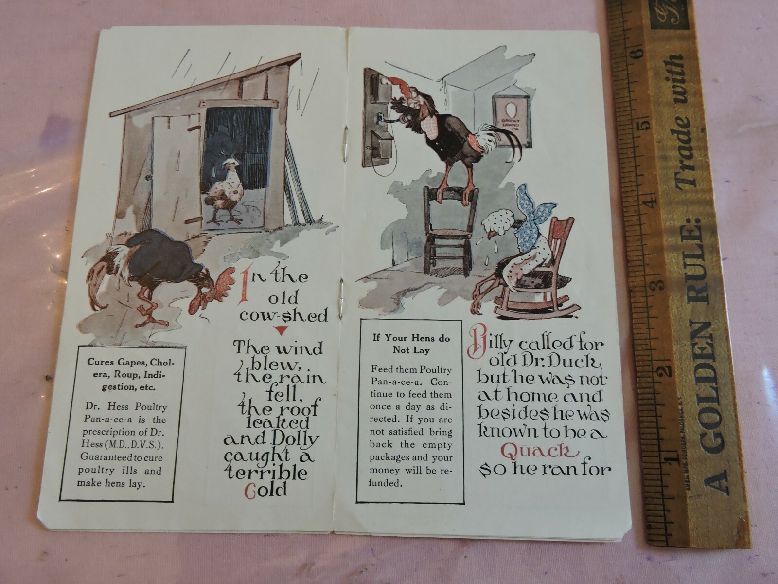 Rare c.1923 12pg Promo Booklet Dr. Hess Poultry Chicken Ashland Ohio Agriculture