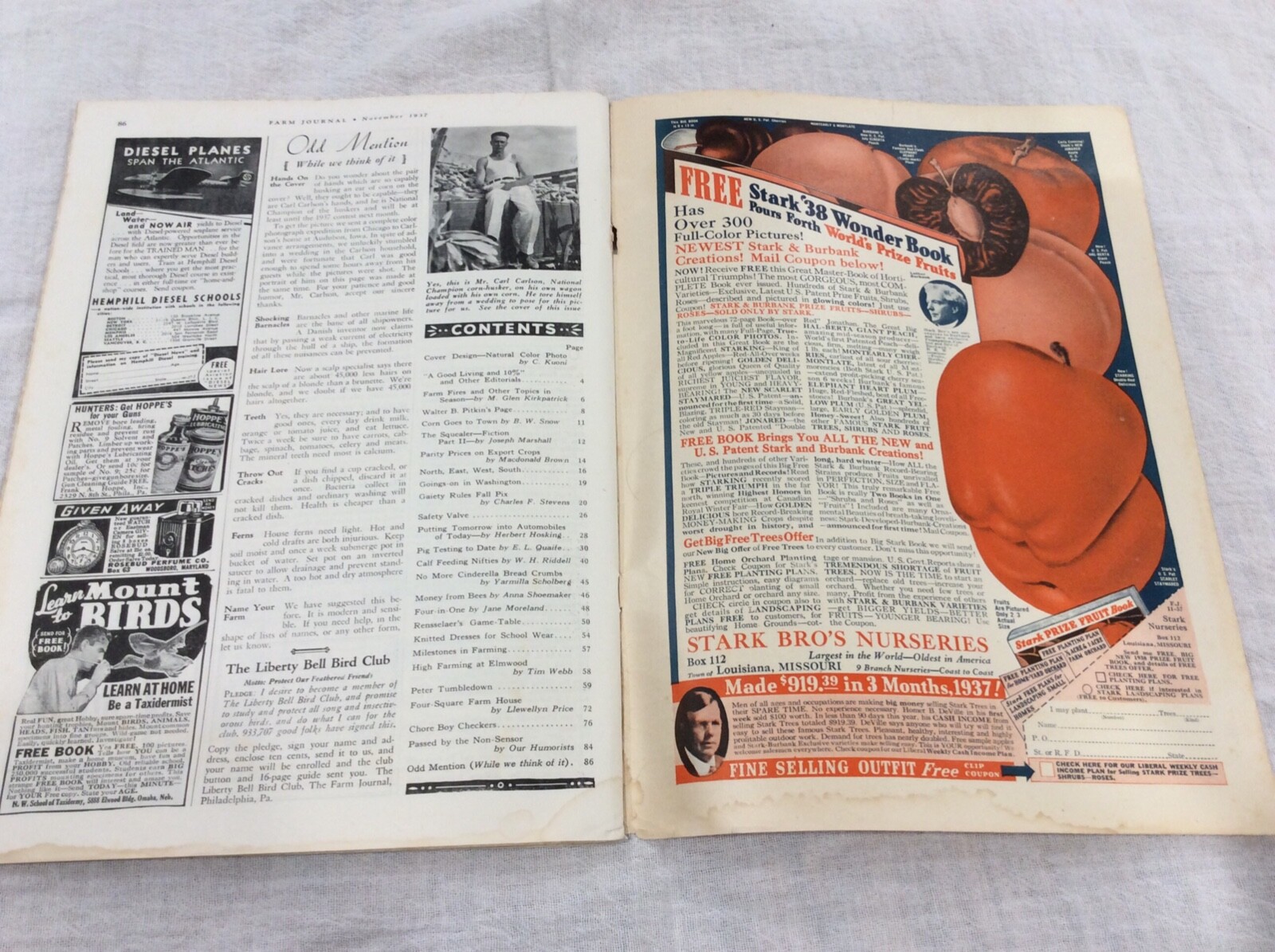 1937 Farm Journal Magazine Iowa State College Experiment Station W/Pigs Ames