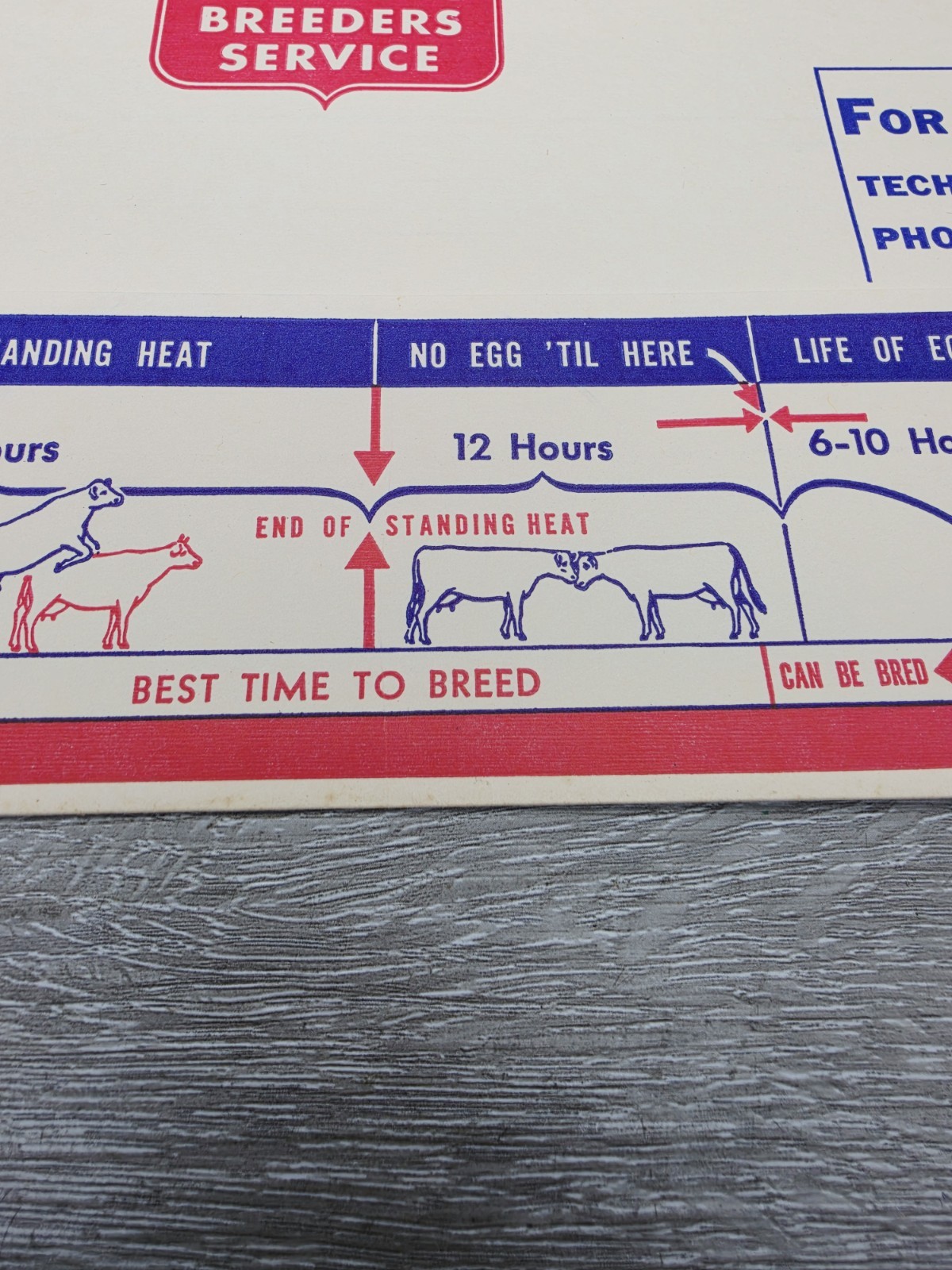 Rare 1957 American Breeders Service Folder Cow Breeding Schedule NOS Advert