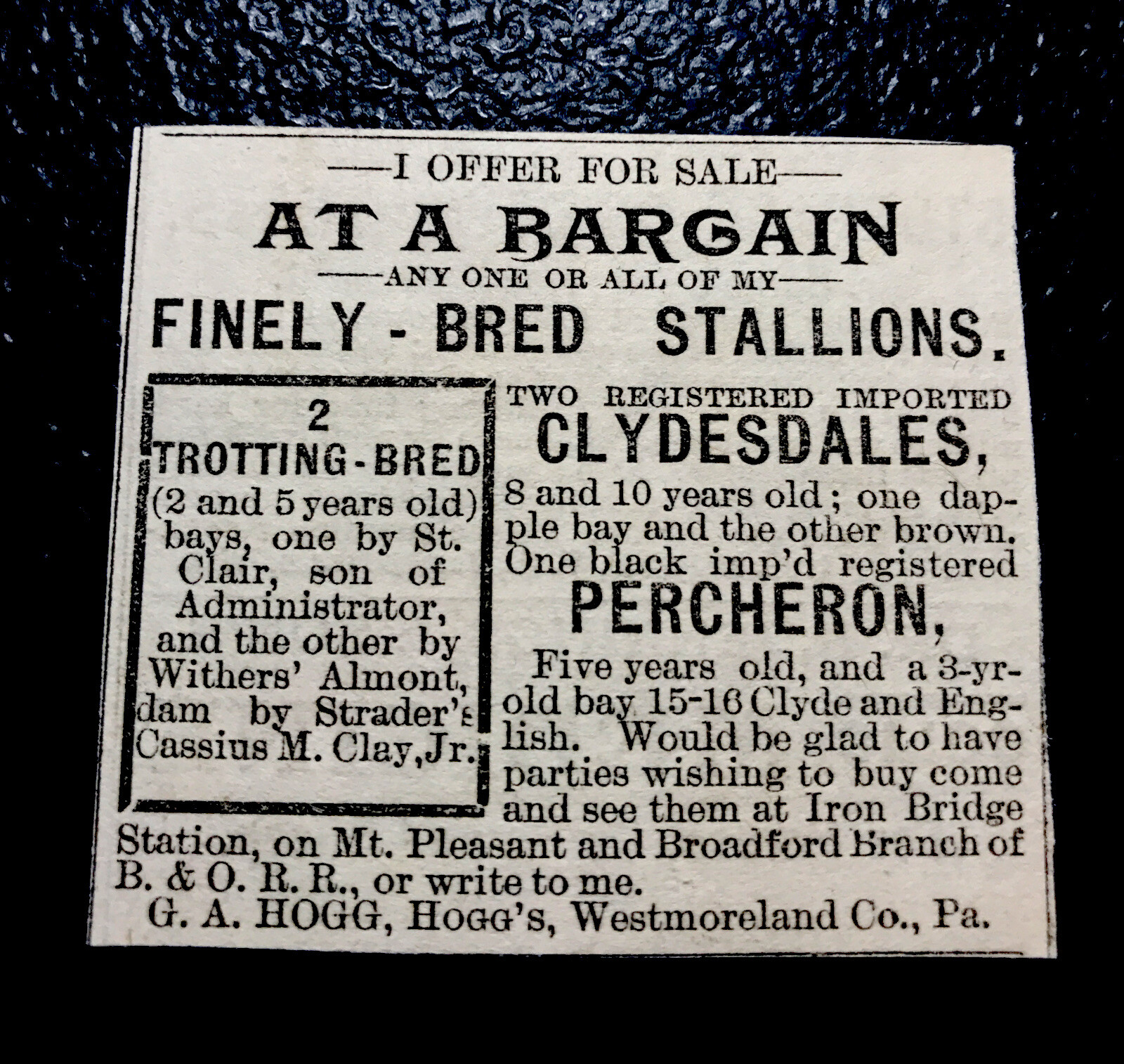 1886 G.A. Hogg – Horse Farm Advertising – Pennsylvania