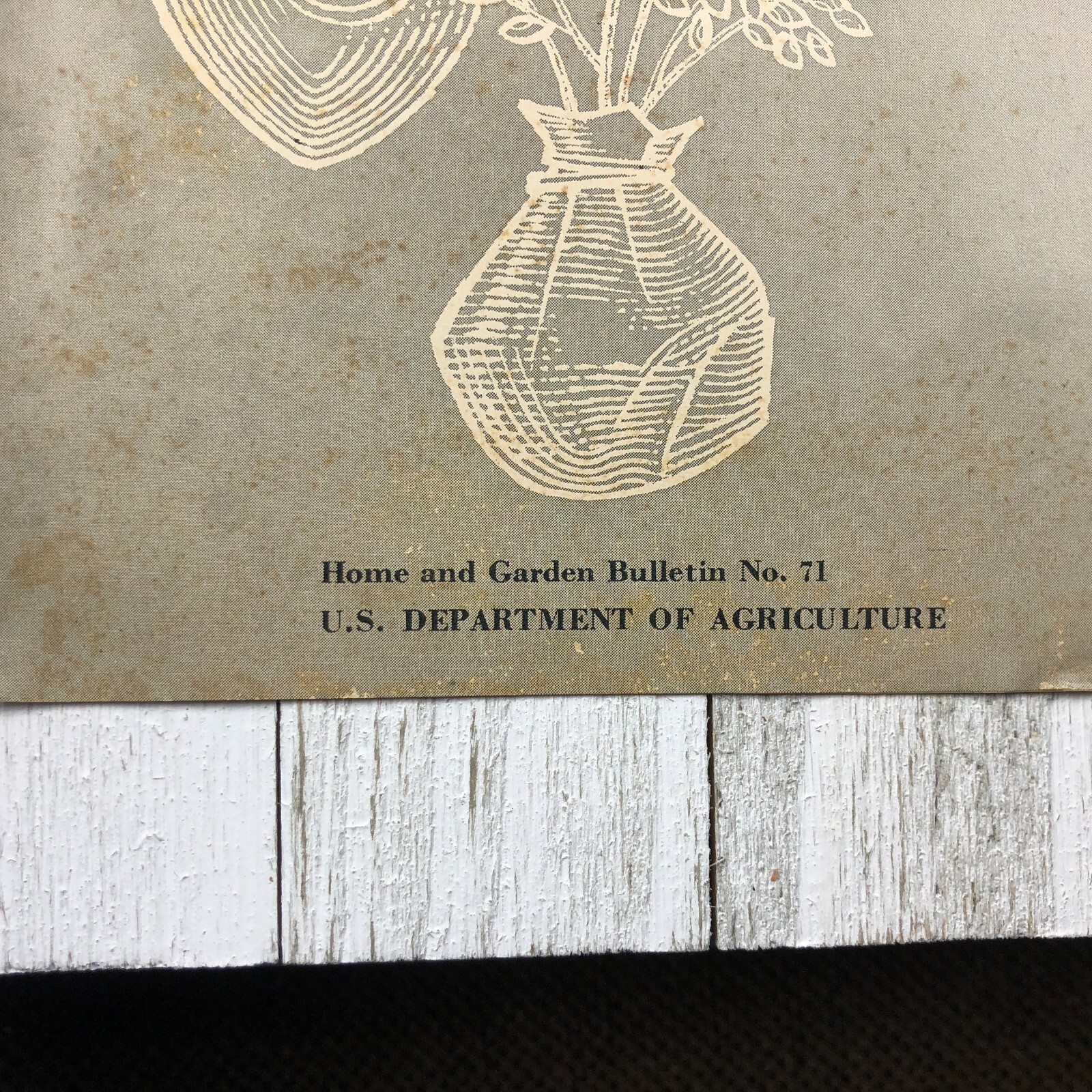 Vintage U.S. Department Of Agriculture Growing Azaleas & Rhododendrons Pamphlet